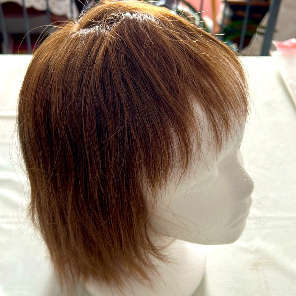 Nwot short straight wig with bangs.